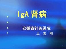 IgA肾病教学讲解课件
