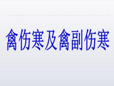 禽伤寒及禽副伤寒