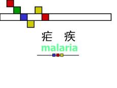 疟疾课件