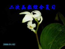 初中數學專題復習二次函數綜合復習課件