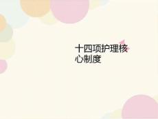 十四項護理核心制度課件