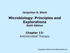 抗生素英文课件精品——Microbiology Principles and Explorations