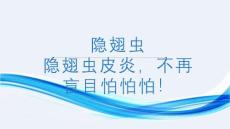 隐翅虫隐翅虫皮炎不再盲目怕怕怕！（课件）小学生健康安全主题班会(1)