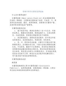 管理不科学甘薯易发黑痣病