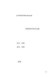 纤维素纤维结构6