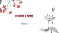 蜜蜂孢子虫病