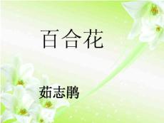 《3.1 百合花》獲獎說課課件ppt