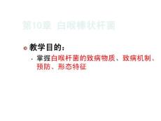 白喉结核动物其他