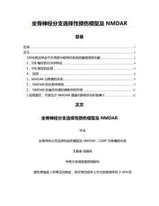 坐骨神经分支选择性损伤模型及NMDAR