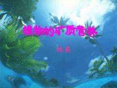 植物的礦質營養2