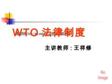 世界貿易組織的運行機制培訓