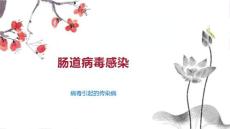 肠道病毒感染