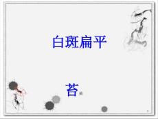白斑扁平苔藓培训ppt课件