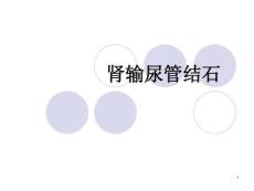 肾输尿管结石课件