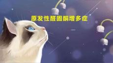 原发性醛固酮增多症