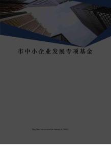 市中小企業發展專項基金