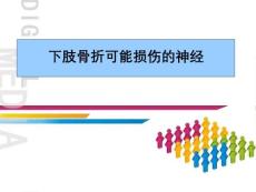 下肢骨折可能损伤的神经课件