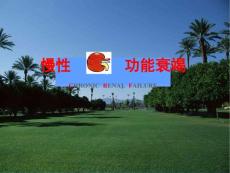 慢性肾功能衰竭.ppt