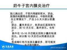 奶牛子宫内膜炎治疗课件