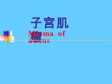 子宫肌瘤 课件