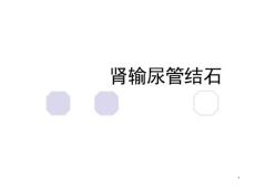 肾输尿管结石课件