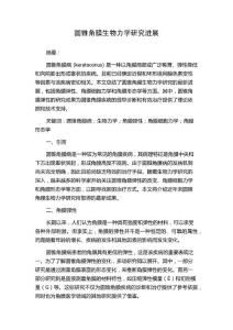 圆锥角膜生物力学研究进展
