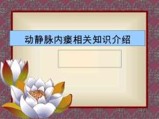 动静脉内瘘课件