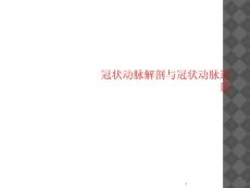 冠状动脉解剖与冠状动脉造影课件