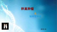 卵巢肿瘤概论课件