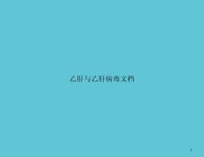 乙肝与乙肝病毒文档课件