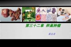 卵巢肿瘤护理课件
