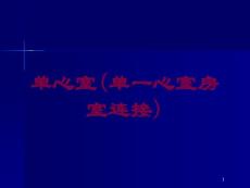 单心室(单一心室房室连接)培训ppt课件