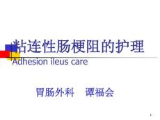 粘连性肠梗阻保守治疗的护理课件