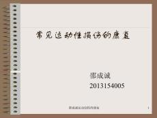 运动创伤的康复-课件
