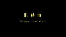 肺结核课件