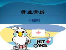 骨盆骨折课件