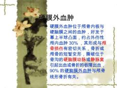 硬脑膜外血肿课件