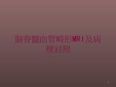 脑脊髓血管畸形MRI及病理对照培训ppt课件