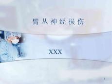 臂丛神经损伤参考课件
