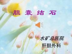 胆囊结石护理课件