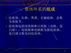锥体外系疾病概述培训ppt课件