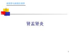 肾盂肾炎课件