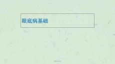 眼底病基础-ppt课件