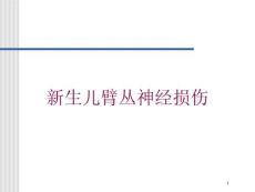 新生儿臂丛神经损伤培训ppt课件