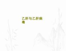 乙肝与乙肝病毒课件