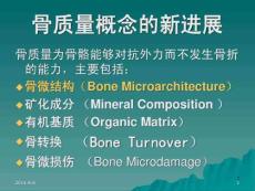 骨质量与骨质疏松课件