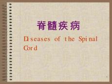 急性脊髓炎课件