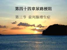 第四十四章尿路梗阻课件