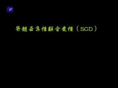 x脊髓亚急性联合变性