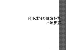 肾小球肾炎继发性肾小球疾病课件